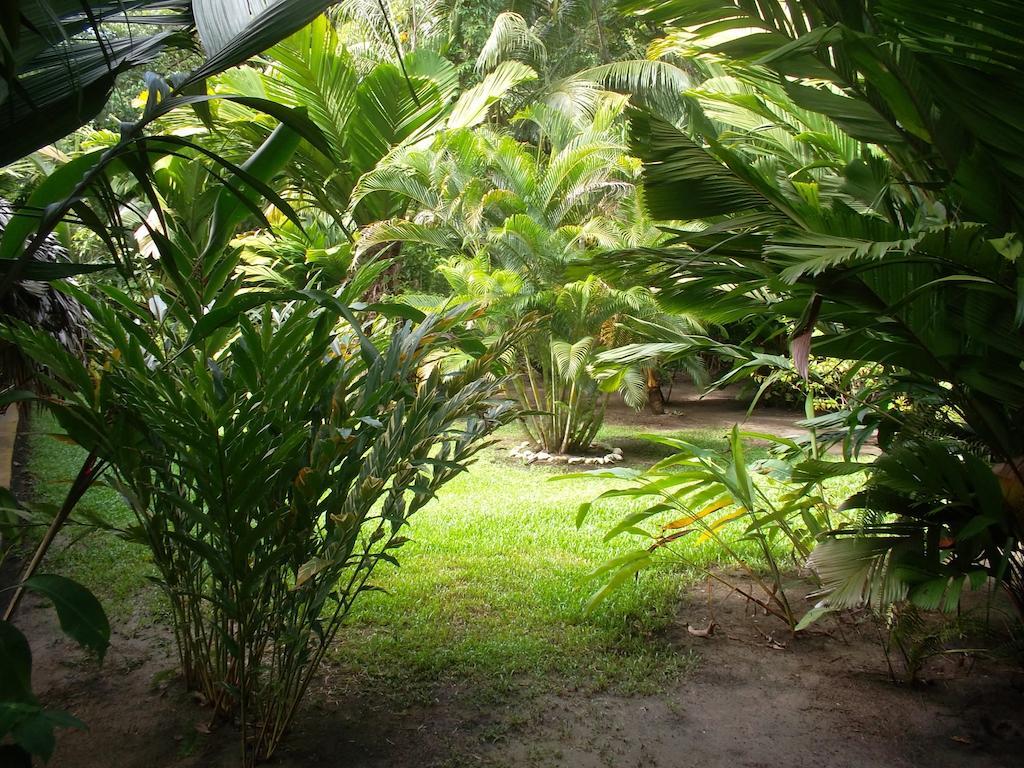 Hotel Salvador Gaviota Livingston Bagian luar foto